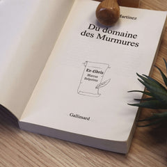 Tampon Ex-libris plume et parchemin