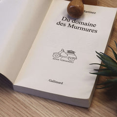 Tampon Scooter livres