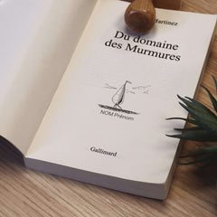 Tampon Ex-libris petit bateau à voile