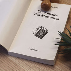 Tampon Ex-libris gros livre