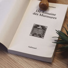 Tampon Ex-libris livre blanc sur noir