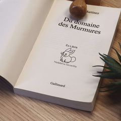 Tampon Ex-libris mignon lapin